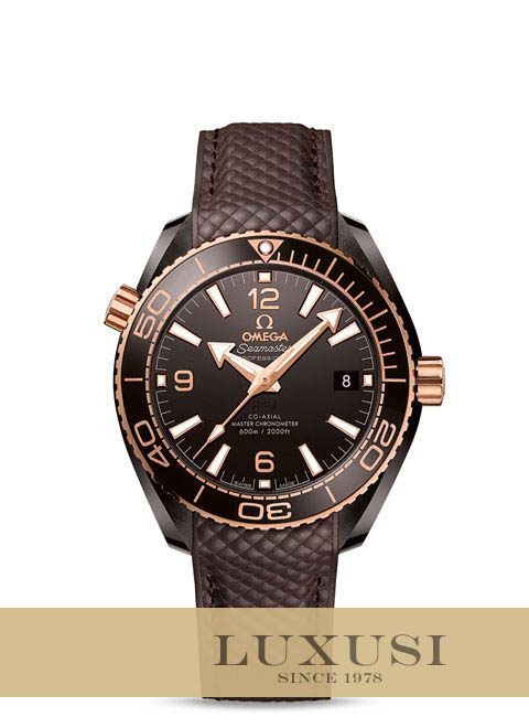 Omega 21562402013001 Cena omega seamaster planet ocean 600m omega co axial master chronometer 39 5mm